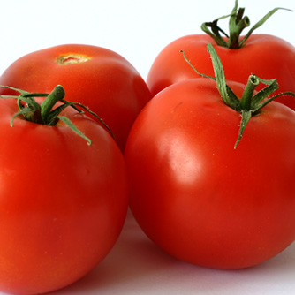 Juicy tomatoes ready for eating