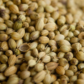 Coriander seeds